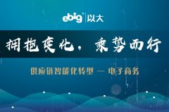 《供應(yīng)鏈智能化轉(zhuǎn)型，以大驅(qū)動(dòng)》—— 電子商務(wù)篇